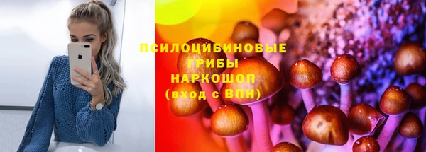 ешки Вяземский