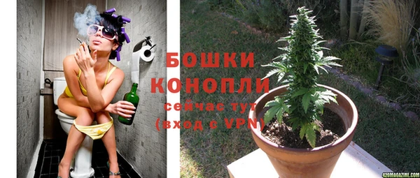 ешки Вяземский