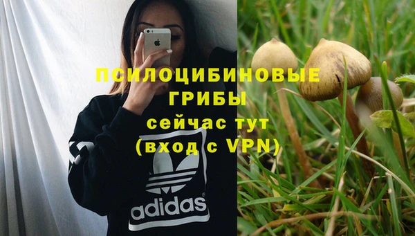 ешки Вяземский