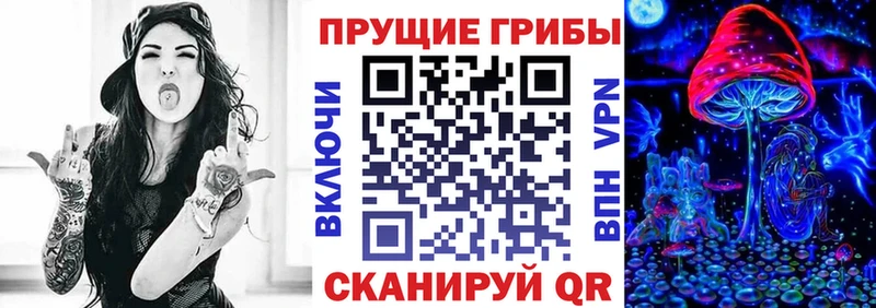 KRAKEN ONION  Орёл  darknet какой сайт  Псилоцибиновые грибы Psilocybe 