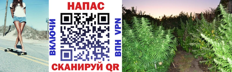 Шишки марихуана Ganja Орёл